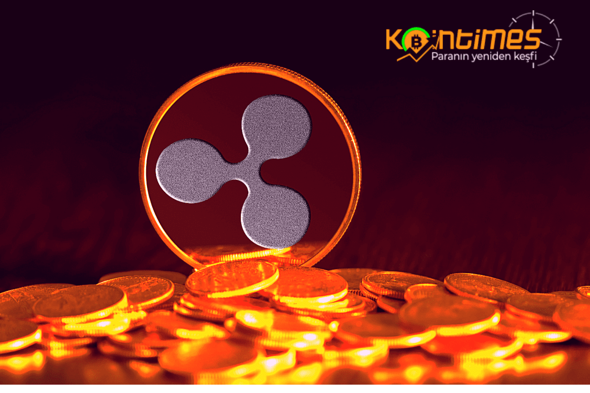 Ripple Hangi Ülkenin Parası?