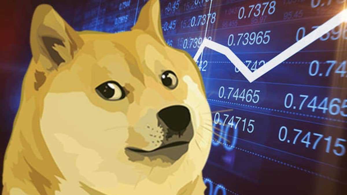 WallStreetBets (WBS), CoinMarketCap’te Zirvede!