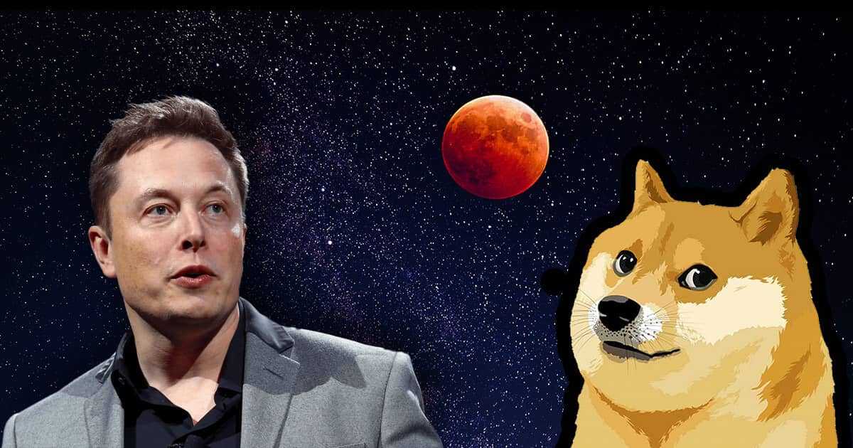 Dogecoin Düşünce Elon Musk Sessiz Kalamadı