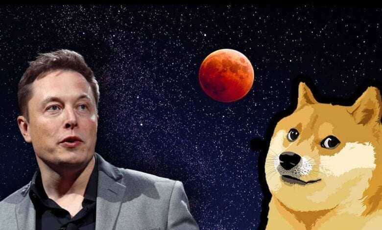 Elon Musk Yine DOGE Fiyatlarına Müdahil Oldu
