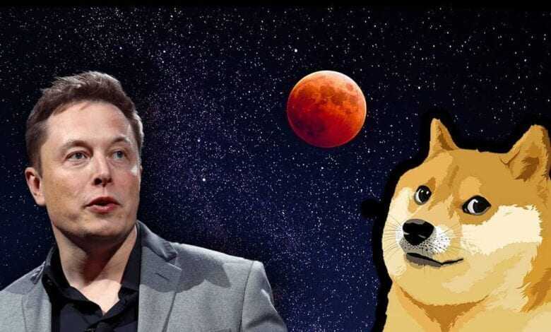 Elon Musk Balinalara DOGE Hakkında Seslendi