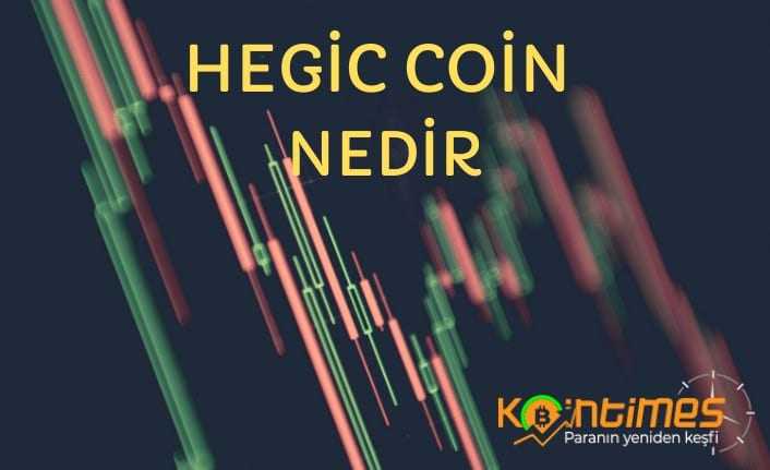 HEGIC Coin Nedir? ve Nasıl Alınır?