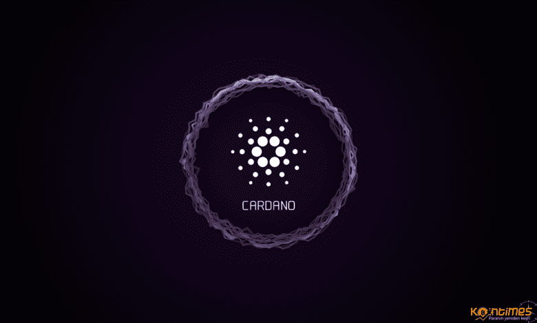 Cardano’da Alonzo Güncellemesi Adımı