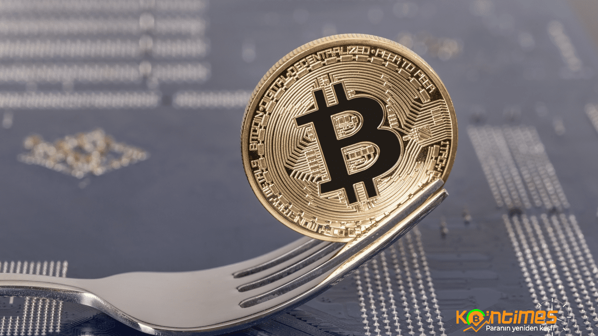 Kripto Paralardaki Fork (Çatallanma) Nedir?