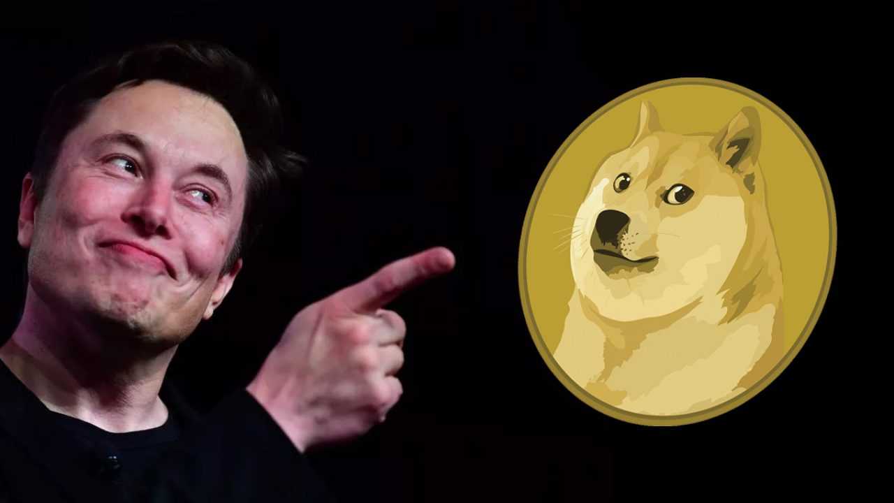 Elon Musk’tan Şaşırtan Sözler: DOGE, Bitcoin’i Bile Sollayabilir