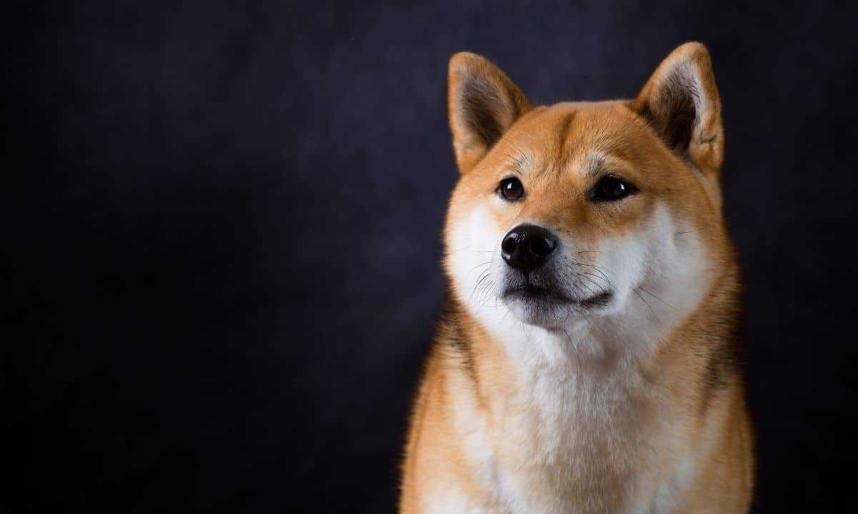 DOGE ve SHIB İçin Önemli Seviyeler Neler?
