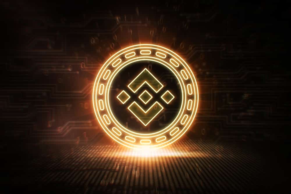 BNB Yatırımcıları Dikkat: BNB 300 Dolara Doğru Koşuyor!