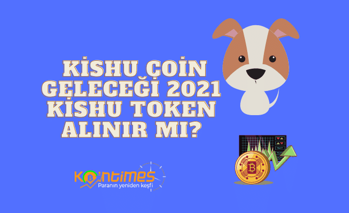 Kishu Coin Geleceği 2022-2025, Kishu Coin Yorumları