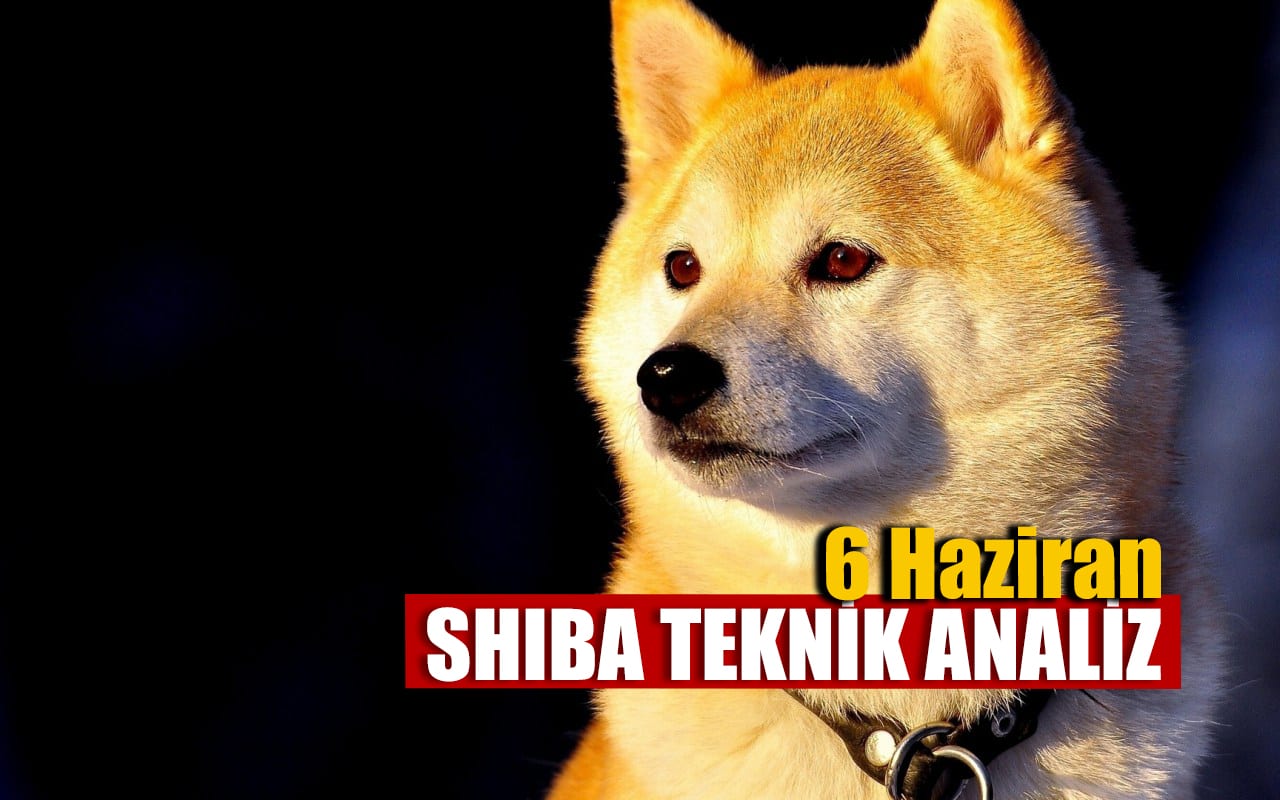 SHIBA Teknik Analizi 6 Haziran 2021