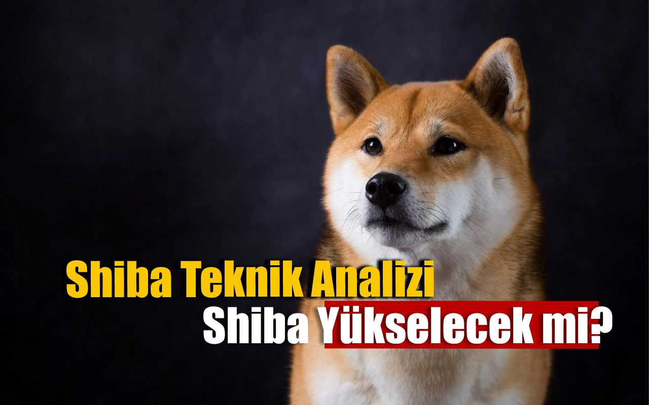 Shiba Inu Teknik Analiz: Direnci Kırabilecek mi? 6 Temmuz 2021
