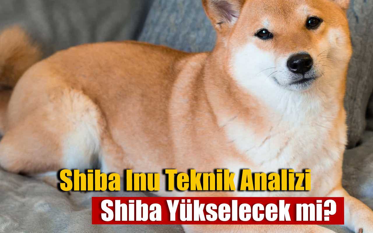 Shiba Inu Teknik Analiz: Düşen Trendi Kırdı! 14 Haziran Shiba Yorumları