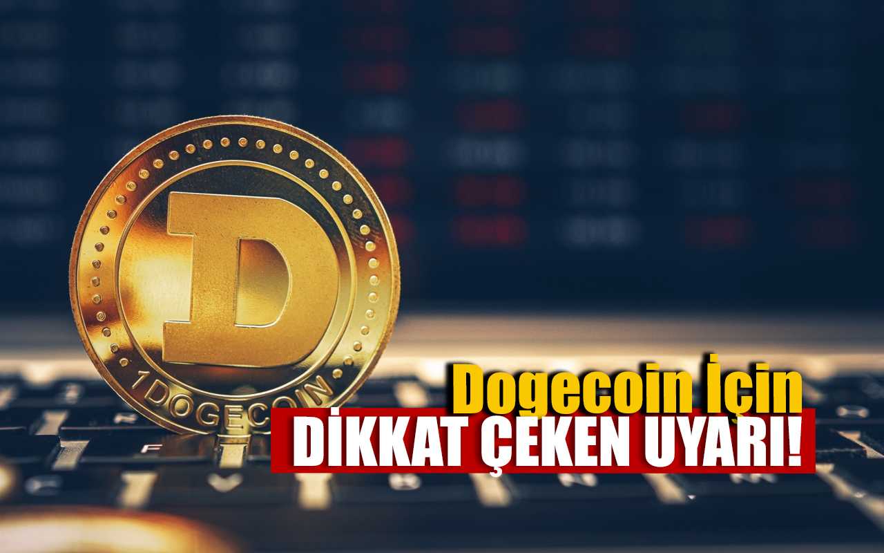 Dogecoin Kalıcılığını Yitirebilir