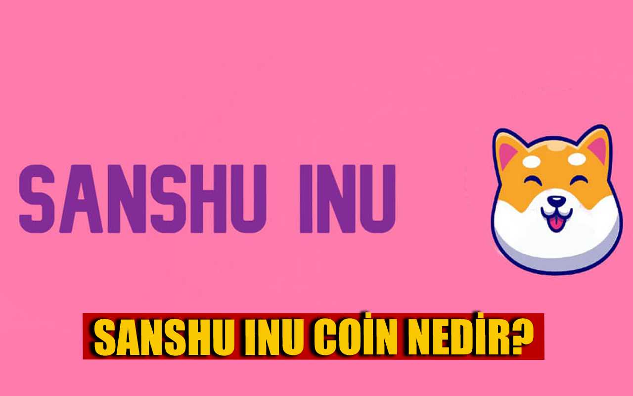 Sanshu İnu Coin Nedir?, Sanshu İnu Geleceği ve Yorumları
