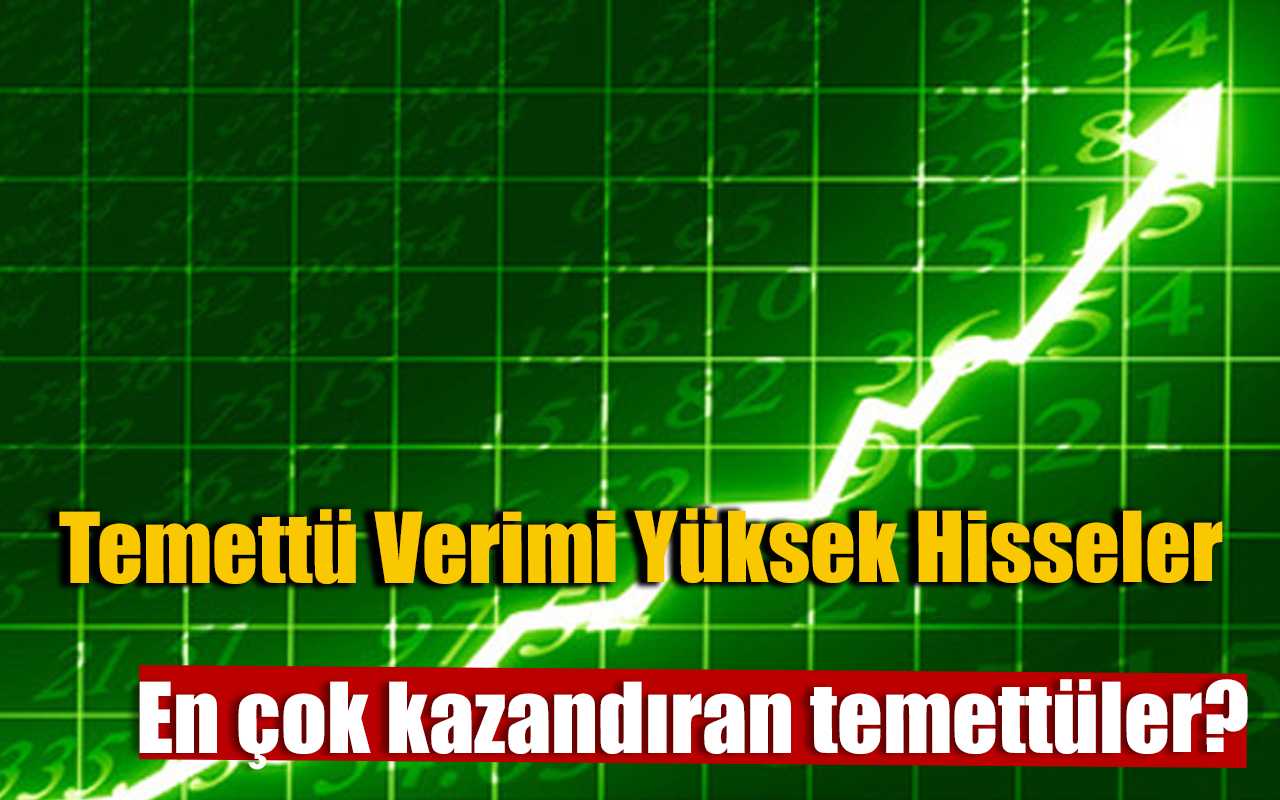 Temettü Verimi Yüksek Hisseler Nelerdir 2023