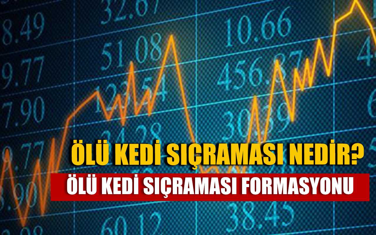 Ölü Kedi Sıçraması (Death Cat Bounce) Nedir? Nasıl Anlaşılır?