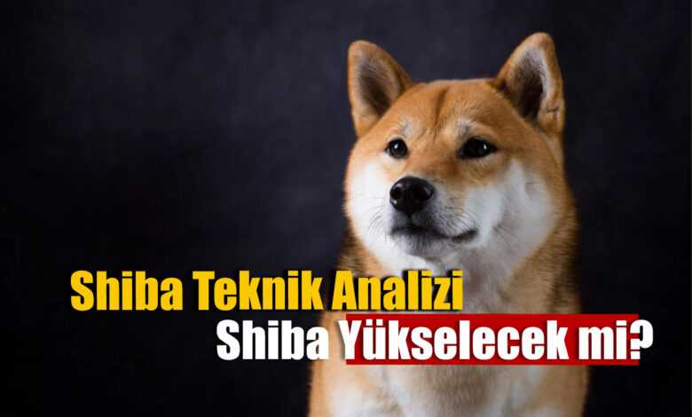 Shiba Inu Teknik Analiz: SHIB Üçgeni Kırdı, Sıradaki Hedefi Ne?