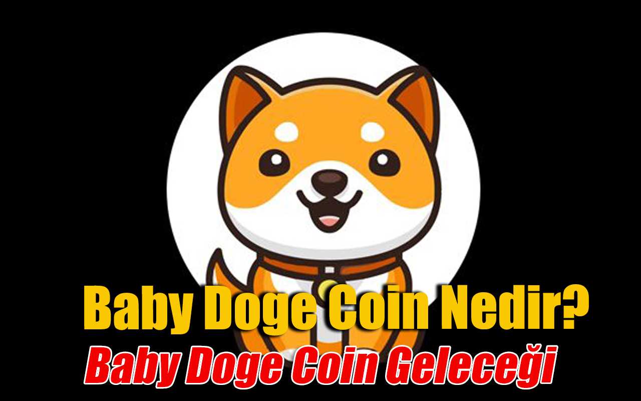 Baby Doge Coin Geleceği 2023 - 2026 - Baby Doge Yorum, Fiyat Tahminleri