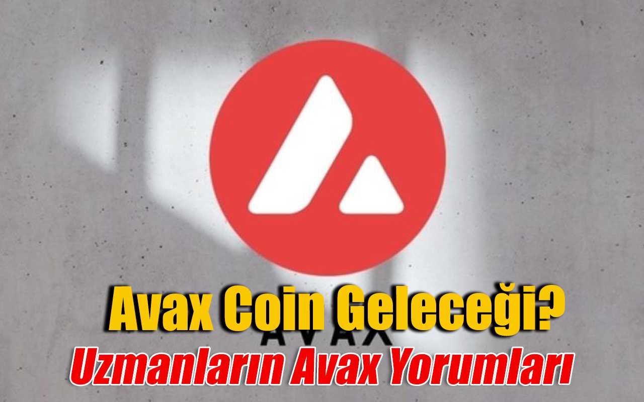Avax Coin Geleceği 2024-2027, Avax Coin Yorumları