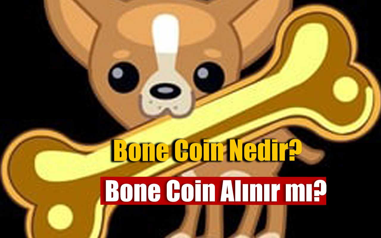 Bone Coin Geleceği 2023, Bone Token Alınır Mı?