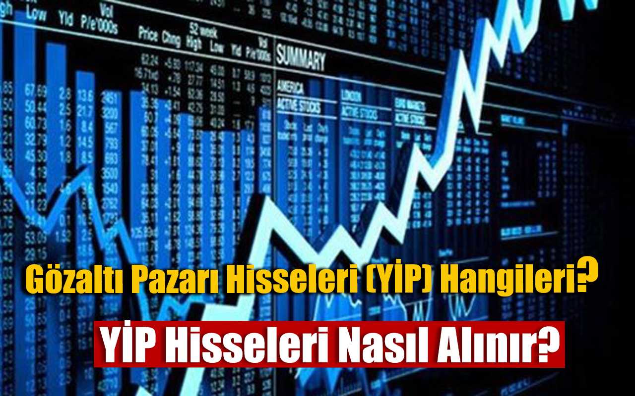 Gözaltı Pazarı Hisseleri (YİP) Hangileri, Yakın İzleme Pazarı Hisseleri Nelerdir?