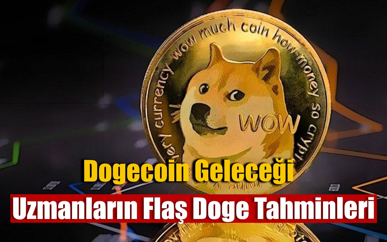 Dogecoin Geleceği 2025 | Dogecoin Yorumları | Doge Hedef Fiyat