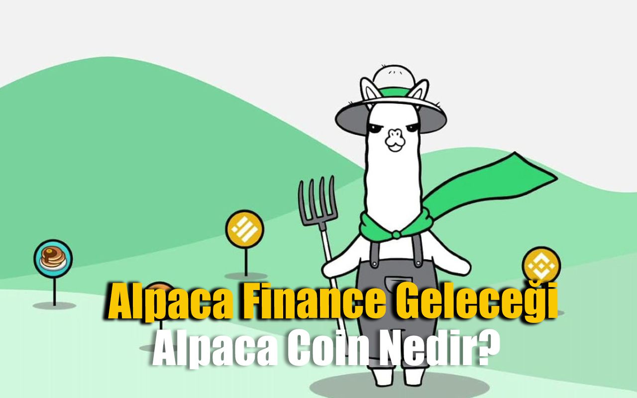 Alpaca Coin Geleceği 2022-2025 | Alpaca Coin Yorum | Alpaca Coin Nedir