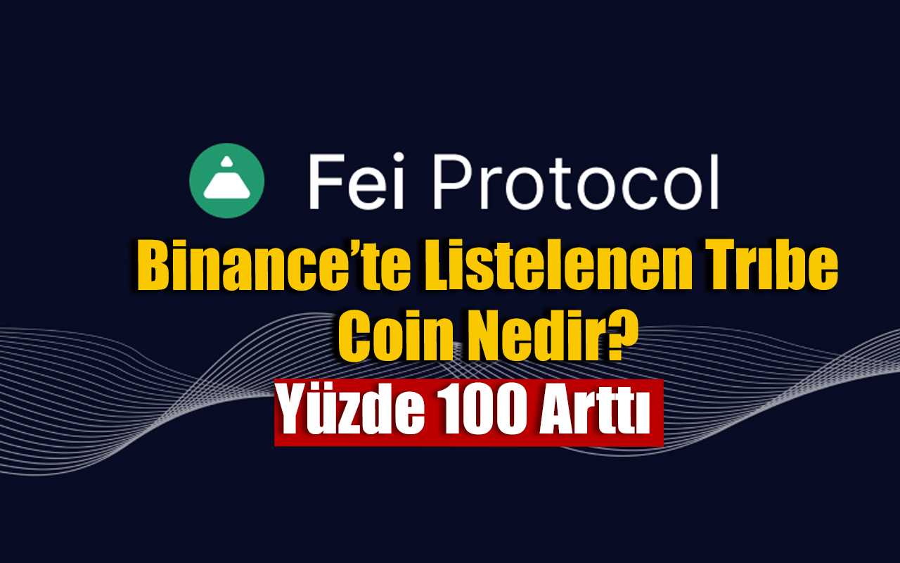 TRIBE Coin Nedir?, TRIBE Coin Geleceği