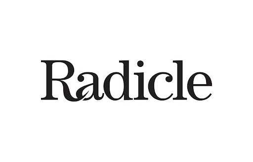 RAD Coin Geleceği 2023-2025 , Radicle Coin Yorum