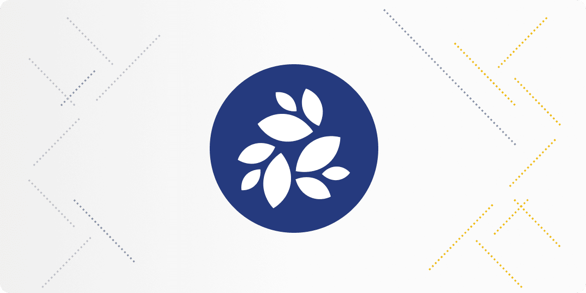 NKN Coin Nedir?, NKN Coin Geleceği 2021