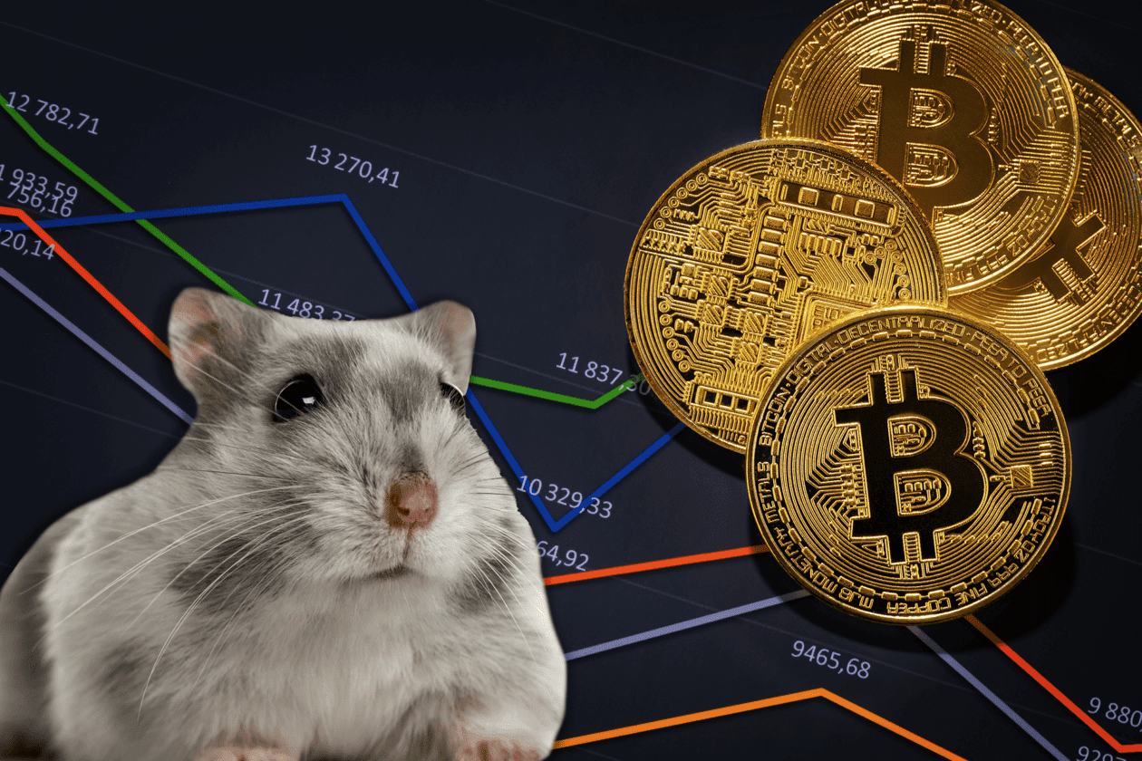 HAM Coin Geleceği 2023-2027,  HAM Coin Fiyat Tahmini - Hamster Coin Yorum