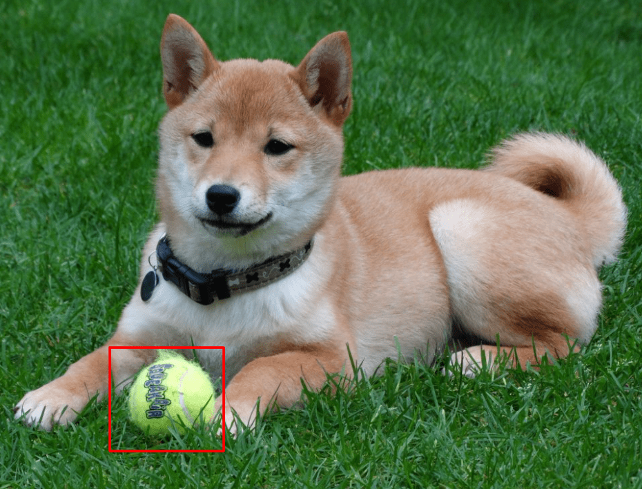 Akita Coin Geleceği 2022-2025, Akita Coin Yorumları