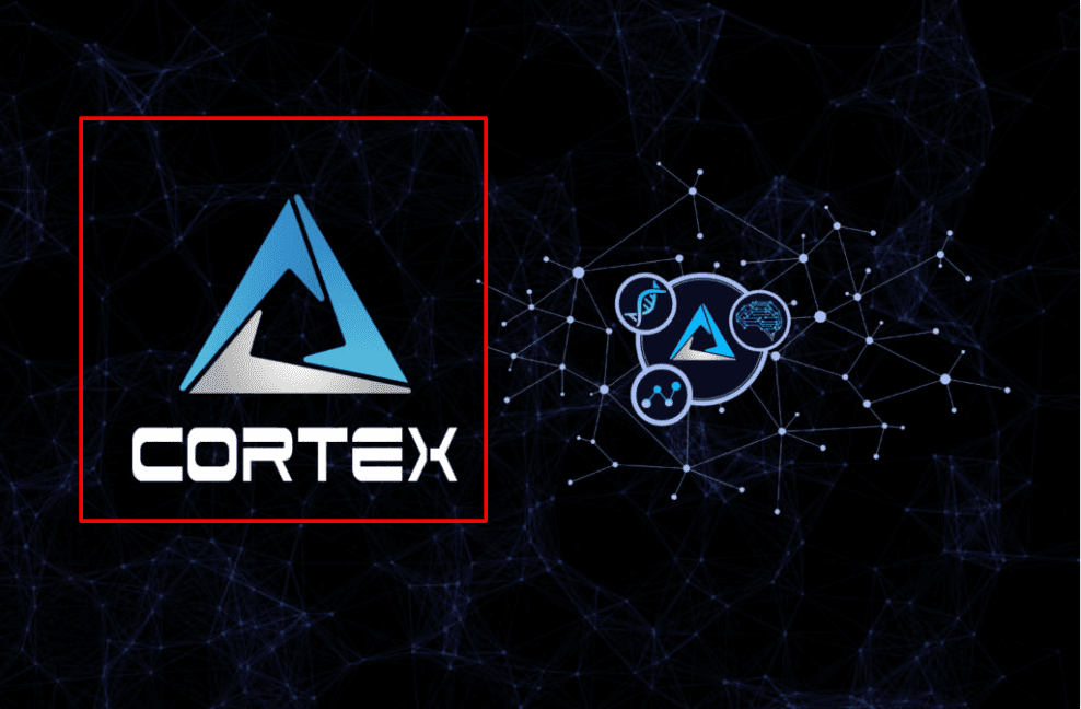 CTXC Coin Geleceği 2022-2025 | CTXC Coin Yorumları | CTXC Coin Nedir?