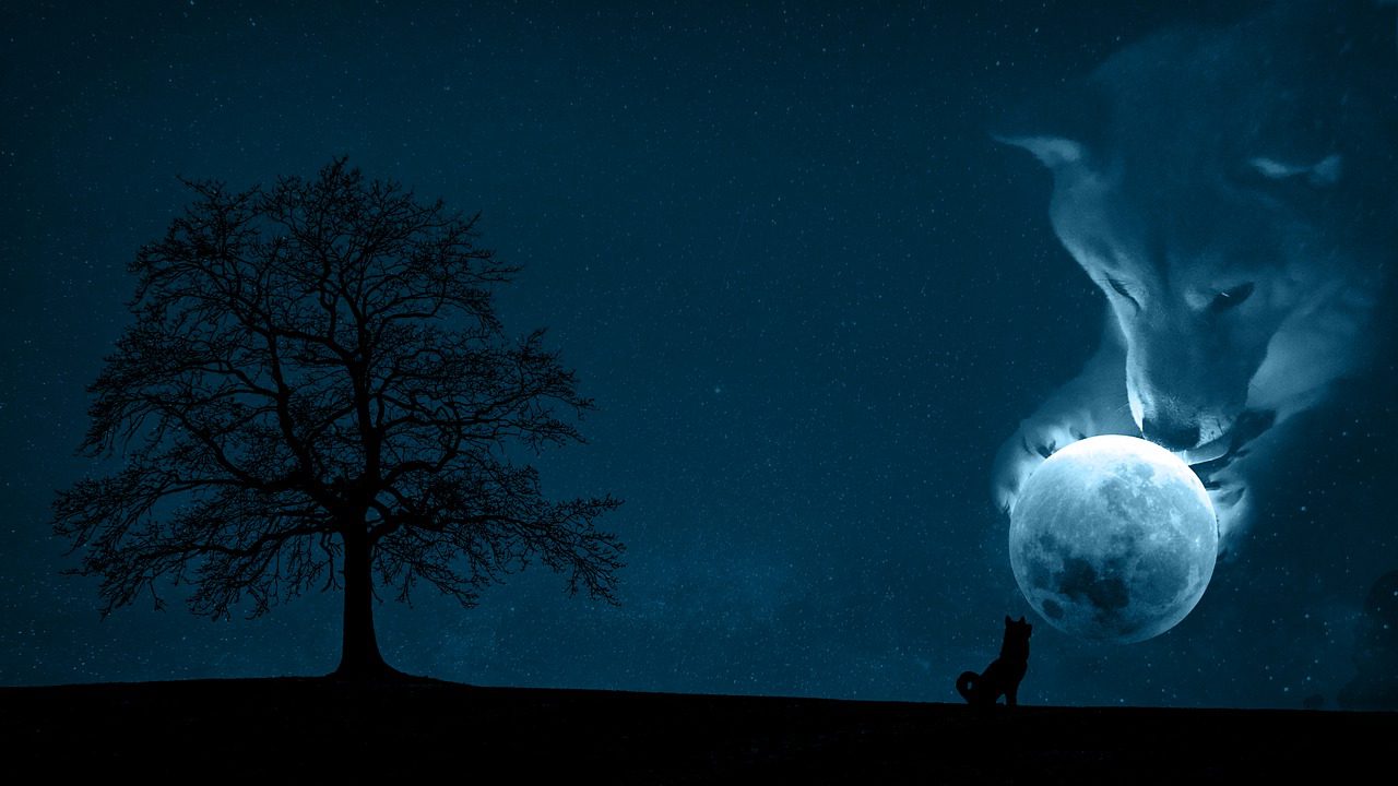 Shiba Uni Coin Yakmaya Devam Ediyor, Bu Sefer Kaç Milyon Yakıldı?