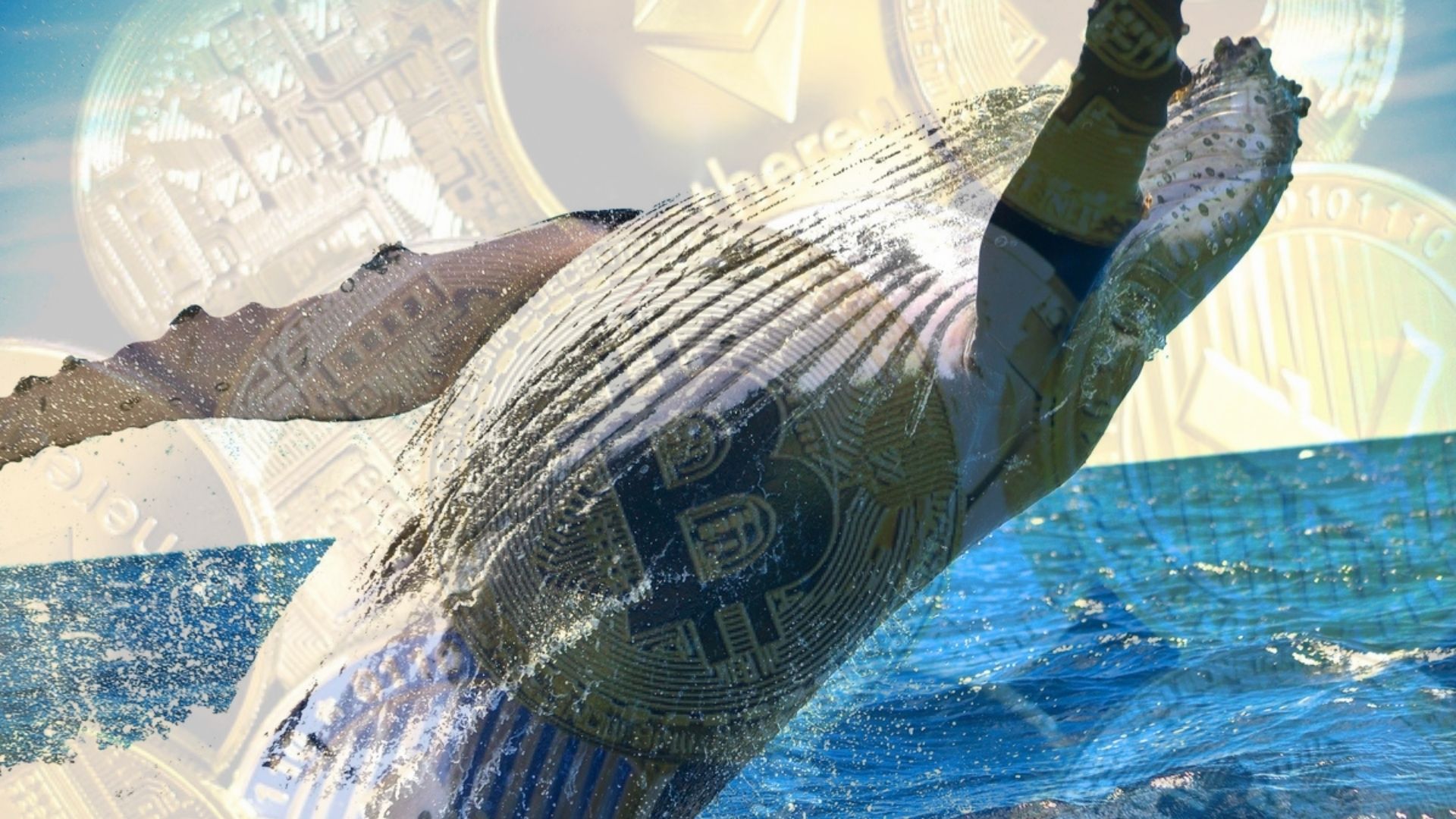 Yatırımcıların Dikkatine: Balinalar 2017 Yılına Ait Bu Altcoin'leri Stokluyor!