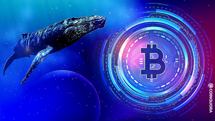Dikkat: Balinalar Borsalardan Bitcoin'i Çekiyor! İşte Detaylar