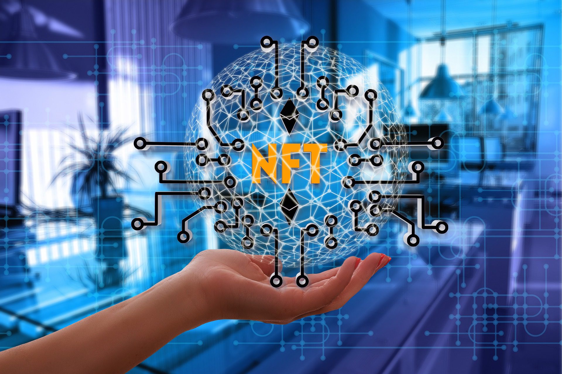 NFT Koleksiyoncusunun Dalgınlığı Pahalıya Mal Oldu !
