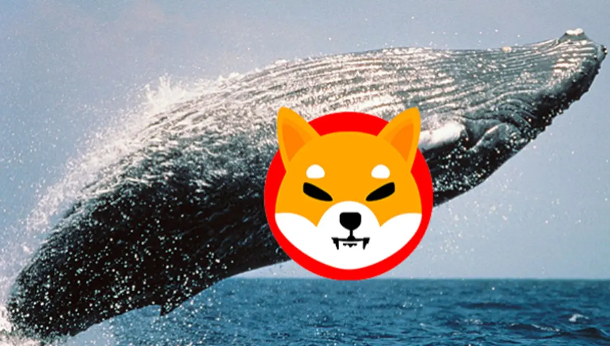 Shiba ile Birlikte Bu 4 Altcoin Projesi de Balinaların Radarına Takıldı!