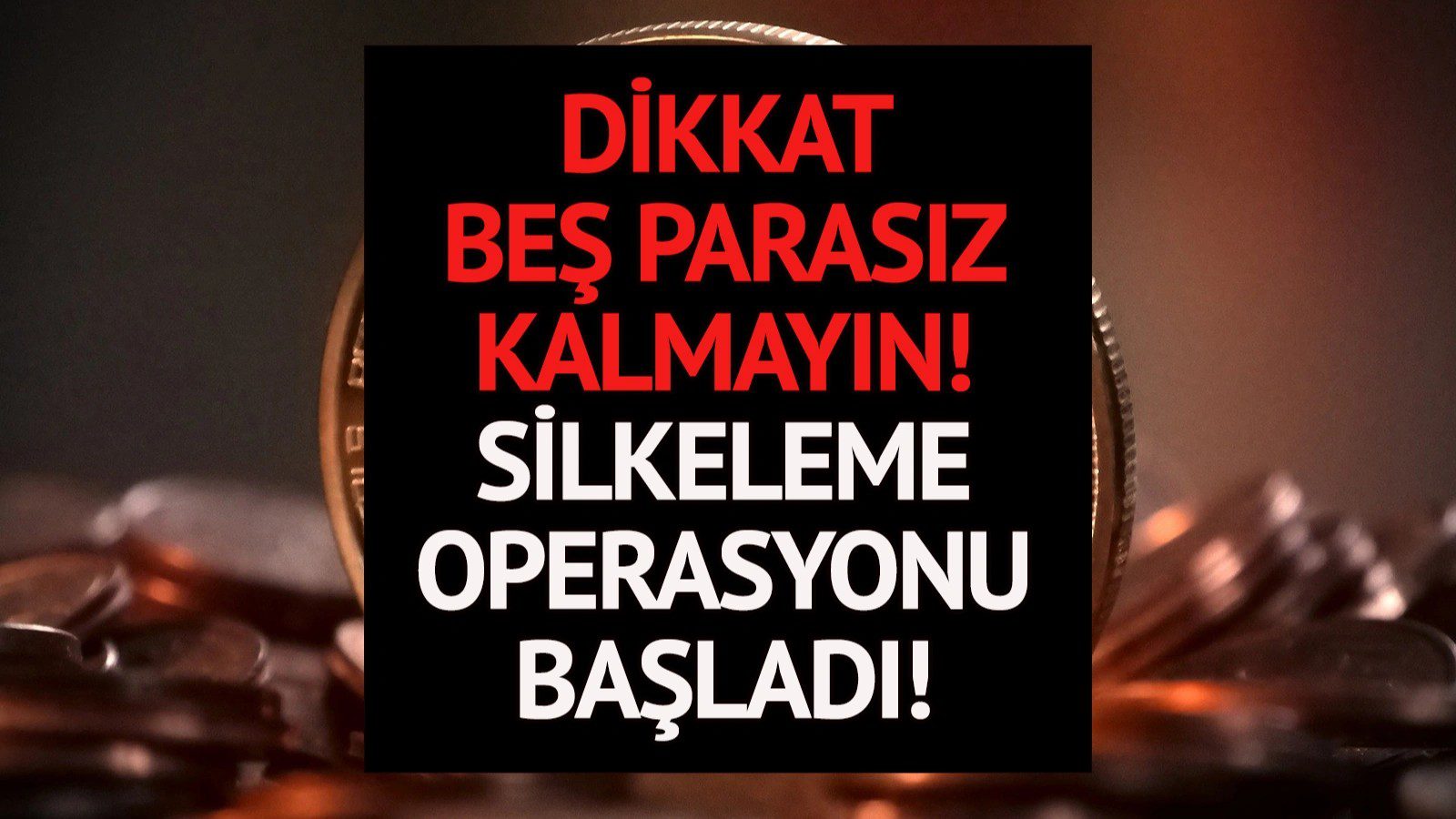Bitcoin, Altın ve Doları Olanlar Dikkat! Silkeleme Operasyonu Başladı