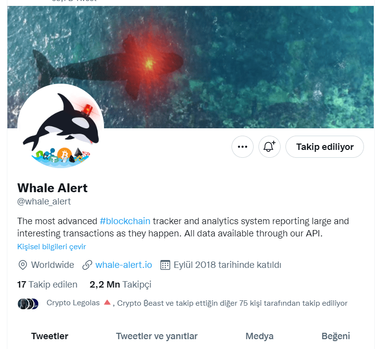 Whale Alert Nedir |  Whale Alert Nasıl Yorumlanır |  Whale Alert Ne İşe Yarar?
