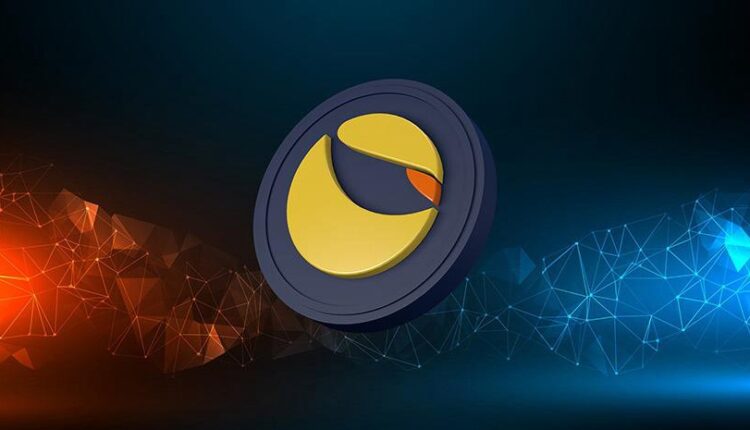 Ross Gerber, Terra'nın  “Bir Kripto Dolandırıcılığı” Olduğunu Söylüyor