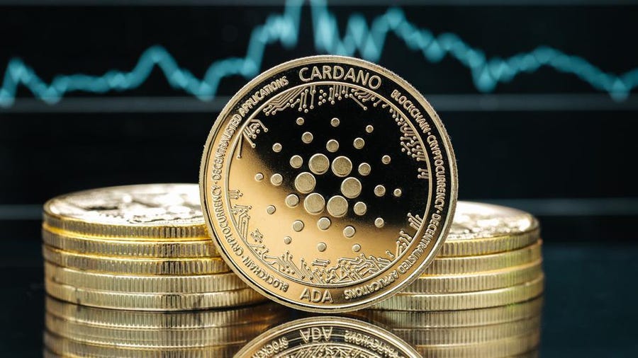 Cardano Blockchain Protokolünden Önemli Bir Adım: Catalyst Test Ağı Halka Açıldı