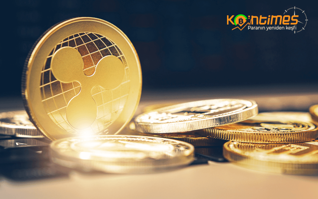 Ripple CEO'sunda Korkutucu Açıklama! Sonu Terra Gibi Olacak Coinler Hangileri?