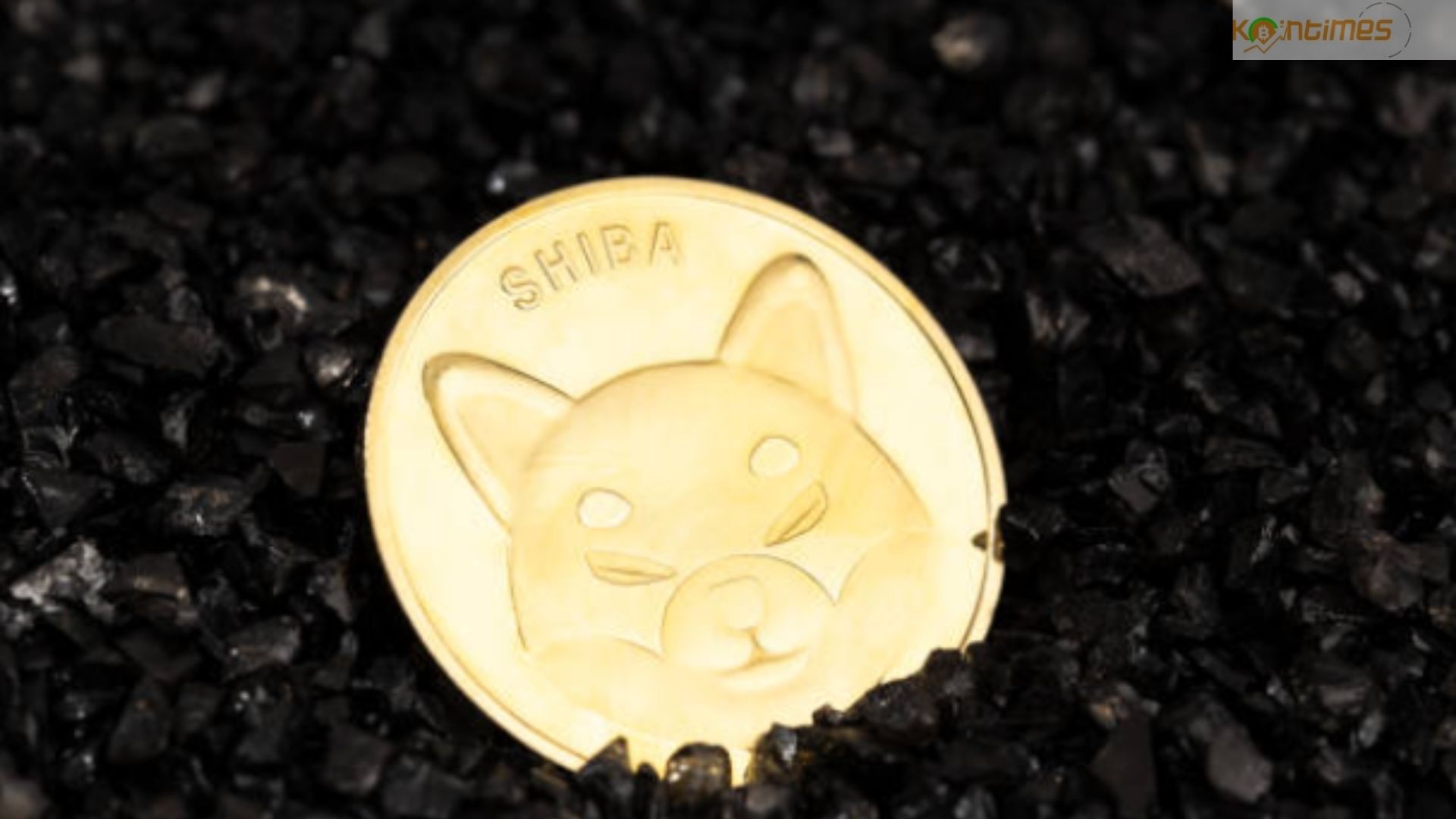 SHIB Coin Yatırımcıları Dikkat! Analistler Tahminlerini Değiştirdi!