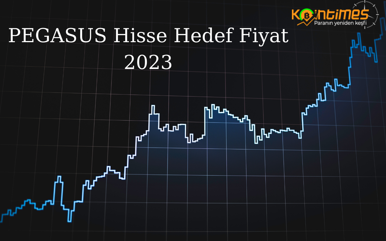 Pegasus (PGSUS) Hisse Hedef Fiyat 2023, PGSUS Hisse Yorum
