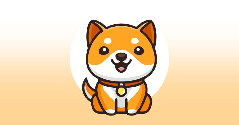 Rekor Yakım: 100 Katrilyon Baby Doge Coin Yakıldı!