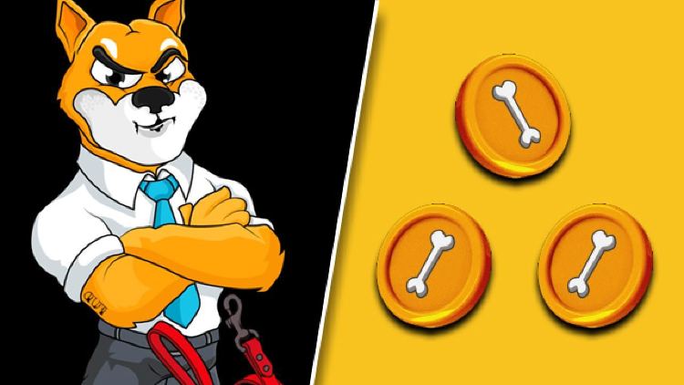 Bone ShibaSwap Geleceği  2023 - 2030 -  BONE Coin Yorum