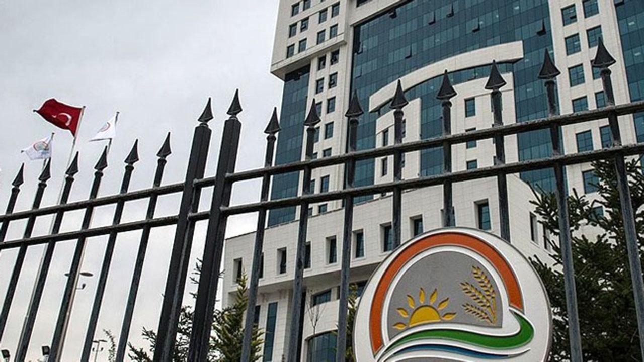 Tarım ve Orman Bakanlığı 5500 Personel Alımı: Kapsamlı Rehber ve Branş Listesi