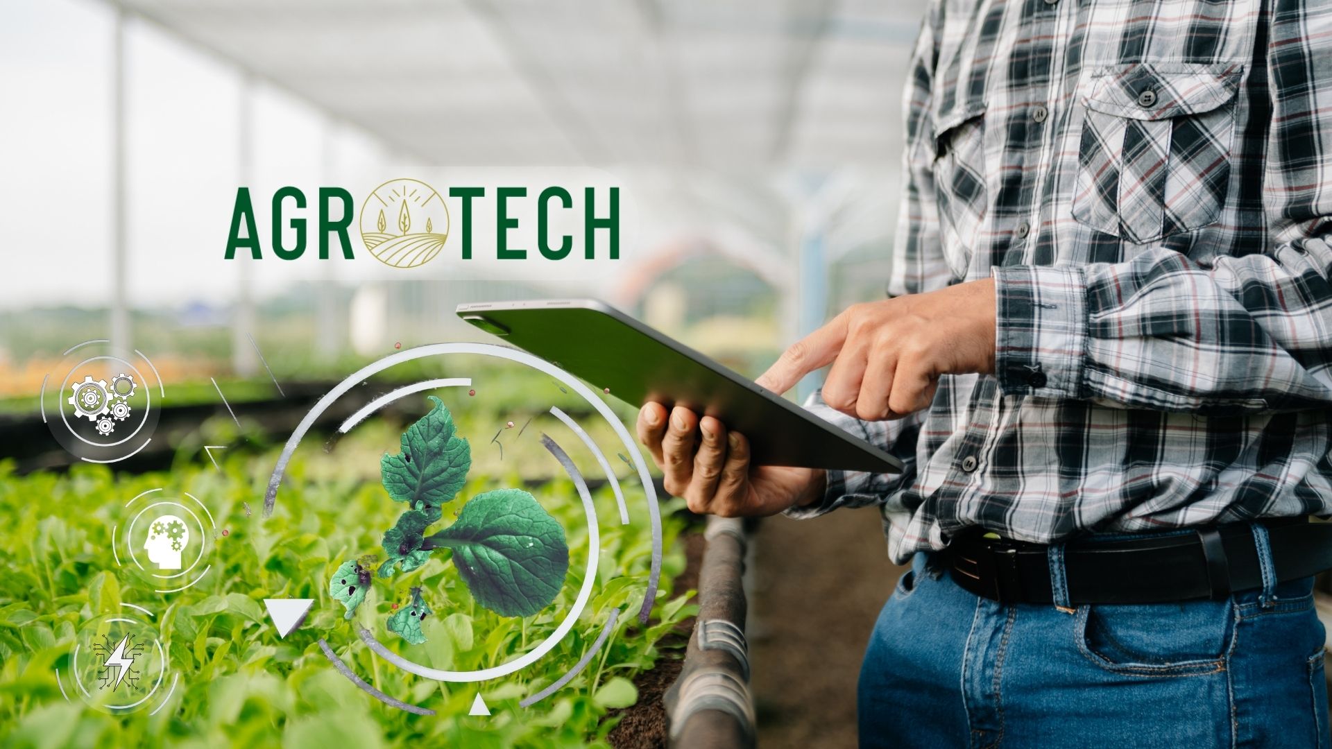 Dubai’de Yeni Bir Başlangıç: Agrotech Global Kuruldu!