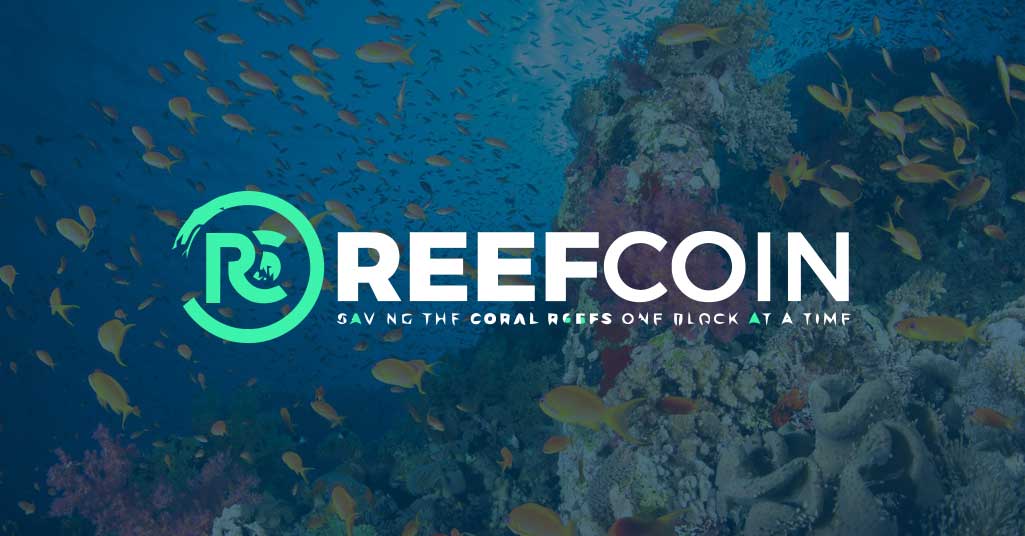 Reef Coin Fiyatında Ani Yükseliş: Paribu'daki Düşük Fiyatın Sebebi Ne?