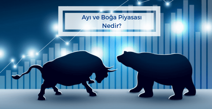 Bitcoin Piyasasında Ayı Piyasası Etkisi ve Boğa Piyasası Etkisi Kavramları